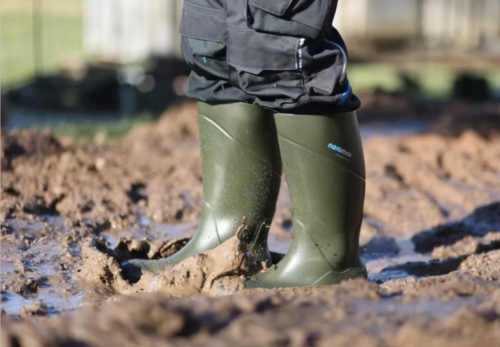 L’importance des chaussures de sécurité en milieu professionnel