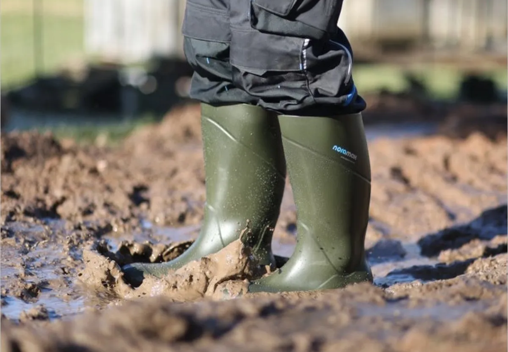 L’importance des chaussures de sécurité en milieu professionnel